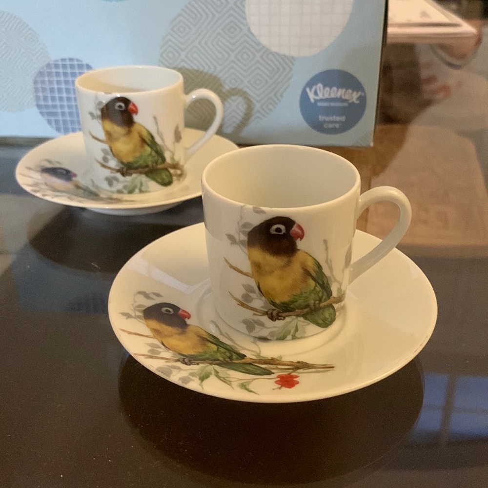 Lazeyras Limoges France - vintage cup and saucer set